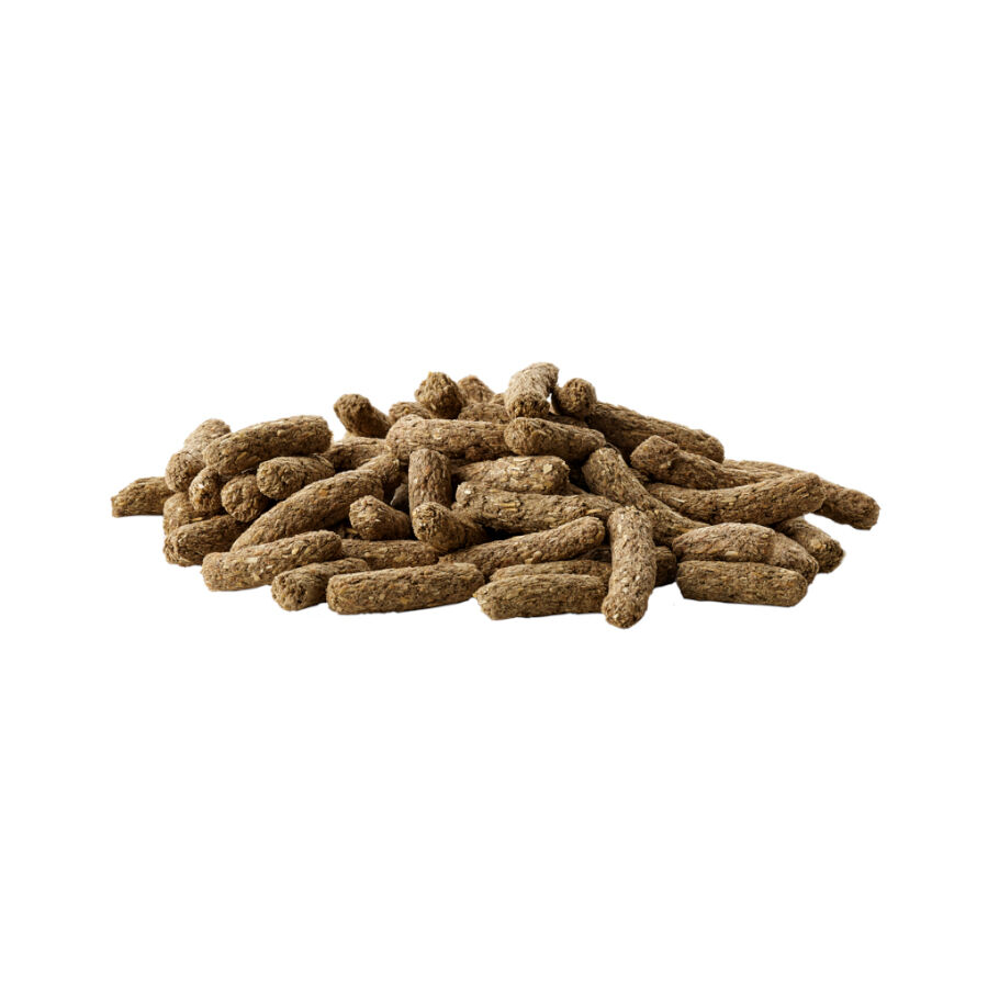 Versele-Laga Complete Alimento para cobayas, , large Imagen numero 2